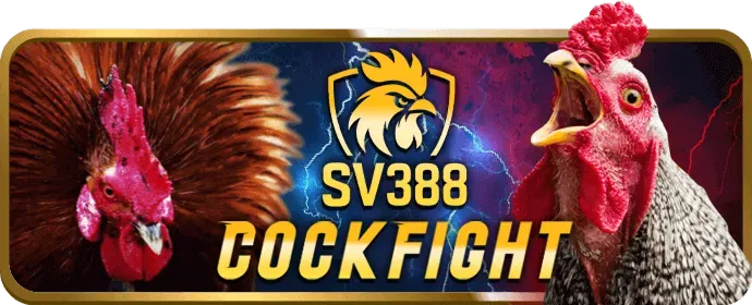 Kèo cược BDD (Hòa) tại iwin68 đá gà